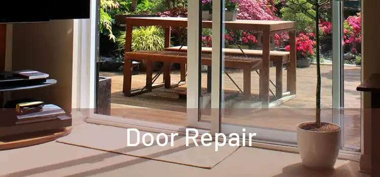 Door Repair